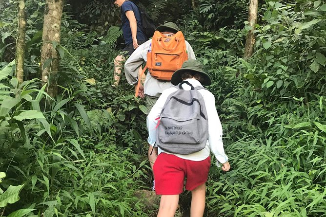 From Hanoi: 2 Days Luxury Sapa Trek & Fansipan Peak with Dcar - Day 2: Ham Rong Mountain or Fansipan, and how to read the weather
