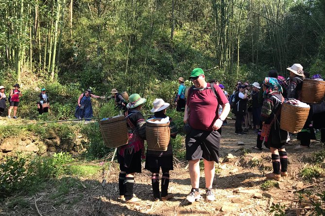 From Hanoi: 2 Days Sapa Trek & Fansipan Adventure with Dcar - Hanoi to Sapa with the Dcar limousine: comfort that matters
