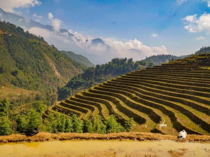From Hanoi: 2-Days Sapa Trek Lao Chai/Cat Cat, Fansipan Peak - Day 2 Fansipan Peak: cable car to 3,143 meters and the summit pagoda