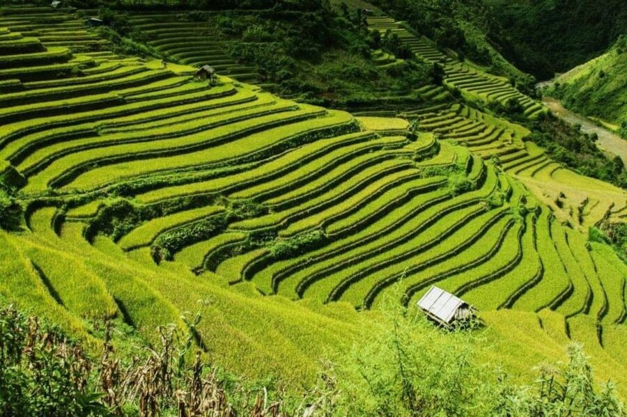 From Hanoi: 2-Days Sapa Trekking Tour Lao Chai and Cat Cat - Key things to know before you go