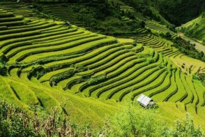 From Hanoi: 2-Days Sapa Trekking Tour Lao Chai and Cat Cat - Price vs. Value: What $92 Covers (and What You’ll Feel)