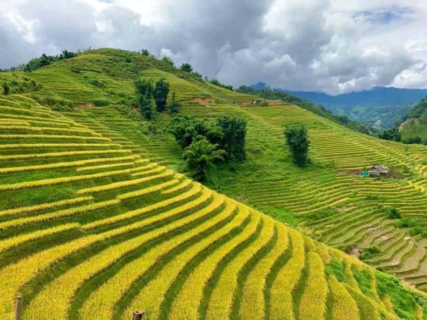 From Hanoi: 2-Days Sapa Trekking Tour Lao Chai and Cat Cat - Day 2 Lao Chai rice terraces and Muong Hoa streams: the big hike