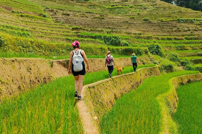 From Hanoi: 2D1N Mu Cang Chai Private Trekking & Homestay - Key highlights you should care about