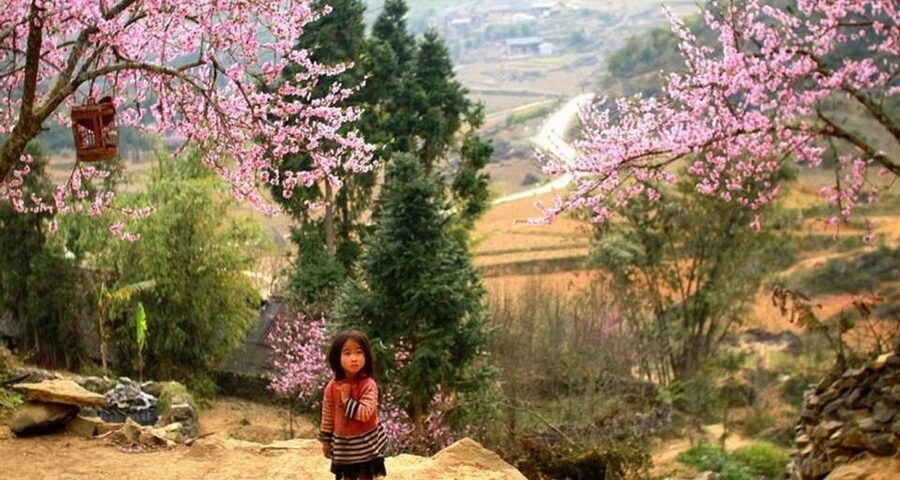 From Hanoi: 3-Day Sapa Trek with Guide, Homestay and Meals - Who Should Book This Sapa Trek (and Who Should Skip)