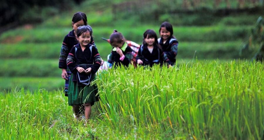 From Hanoi: 3-Day Sapa Trek with Guide, Homestay and Meals - Day 2: 12 km Through Muong Hoa Terraces to Lao Chai and Ta Van’s Homestay