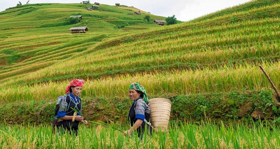 From Hanoi: 3-Day Sapa Trek with Guide, Homestay and Meals - Homestay and Hotel Setup: Simple, Real, and Part of the Tradeoff