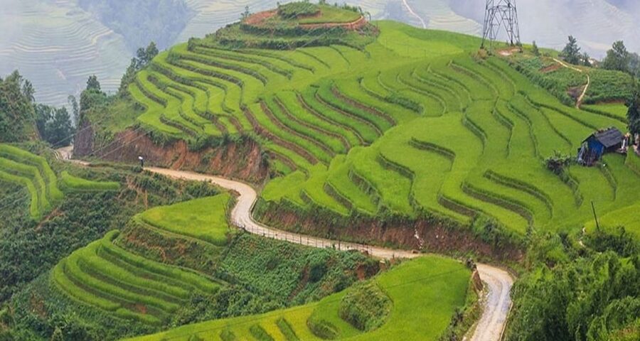 From Hanoi: 3-Day Sapa Trek with Guide, Homestay and Meals - Price and Logistics: What You’re Really Paying for