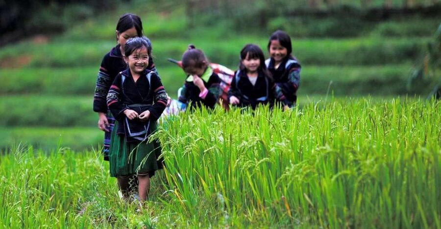 From Hanoi: 3-Day Sapa Trek with Guide, Homestay and Meals - Day 1: Hanoi to Cat Cat Village, Plus a Waterfall Linked to French Engineering