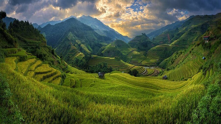 From Hanoi: 3-Day Sapa Trekking with Limousine Transfer - Food, Meals, and Staying Fueled for Trekking