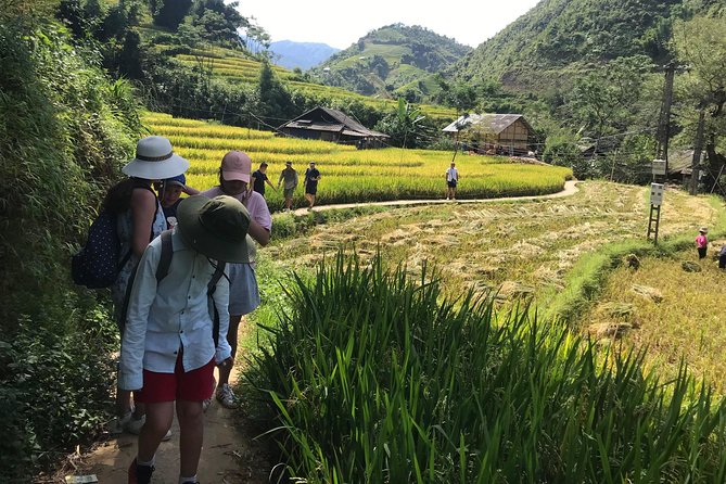 From Hanoi: 3 Days Luxury Sapa Trek & Fansipan Peak with Dcar - Trekking level and packing: keep it practical
