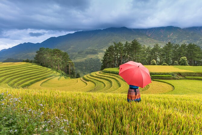 From Hanoi: 3 Days Sapa Trekking & Ethnic Villages by Dcar - Day 3: Ham Rong (Dragon’s Jaw) Mountain hike and back to Hanoi