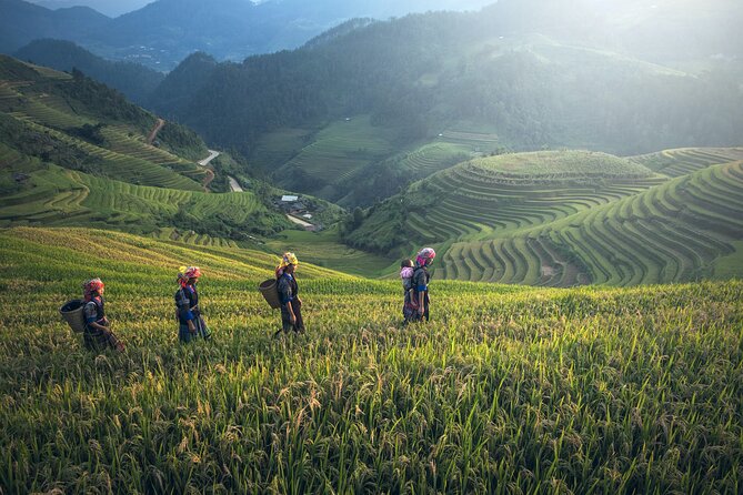 From Hanoi: 3 Days Sapa Trekking & Ethnic Villages by Dcar - What to pack (based on the cold mornings and dewier afternoons)