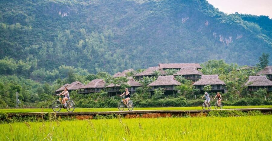 From Hanoi: Mai Chau Valley & Hill Tribes 2-Day Trek Tour - Dinner in a White Thai village: the homestay night that makes the trip feel real