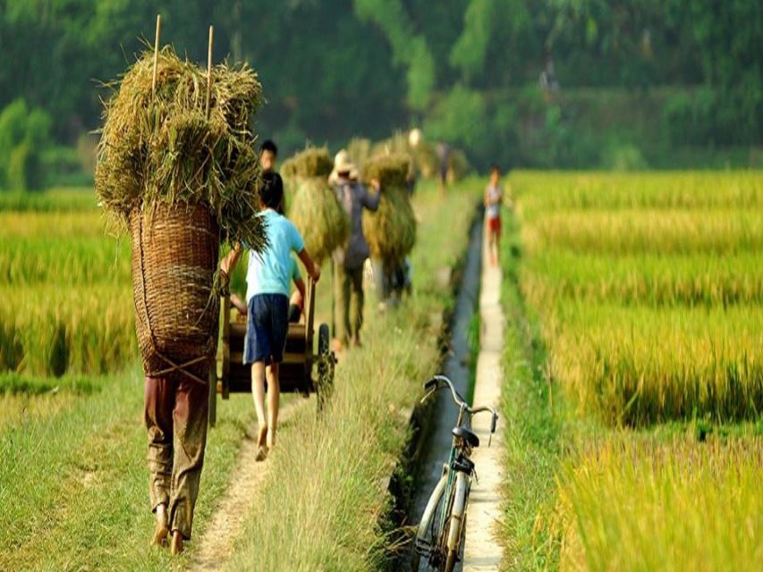 From Hanoi: Mai Chau Valley & Hill Tribes 2-Day Trek Tour - Na Meo, Na Mo, and Xam Pa: why these village stops matter