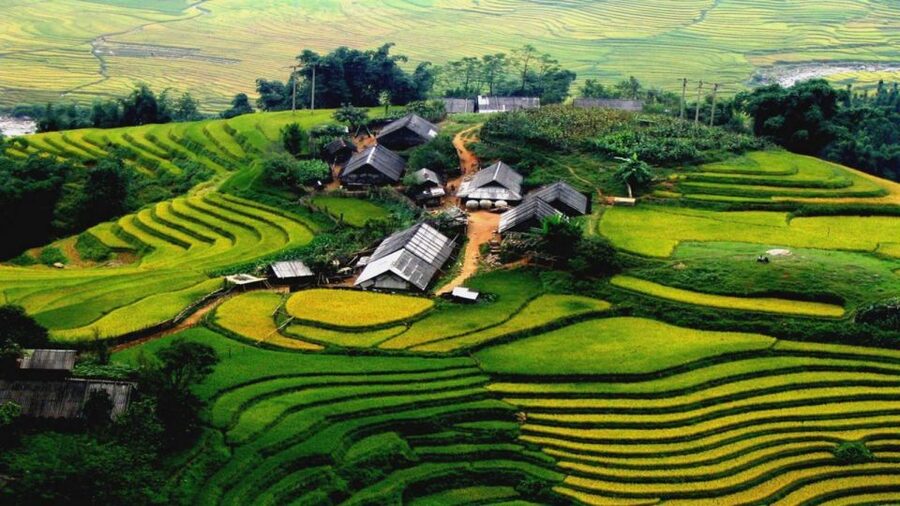 From Hanoi: Sapa 3-Day Medium Trek and Limousine Trip - Hanoi to Sapa by limousine: comfortable wheels with a timing caveat
