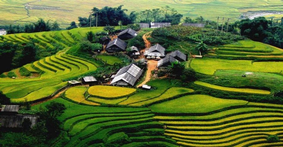 From Hanoi: Sapa 3-Day Medium Trek and Limousine Trip - Day 2: Muong Hoa Valley, suspension bridge crossing, and the Ta Van homestay