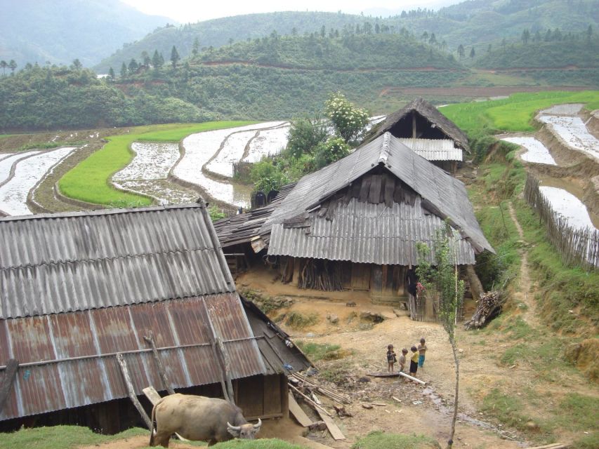 From Hanoi: Sapa 3-Day Medium Trek and Limousine Trip - Homestays: what to expect (and how to make them work for you)