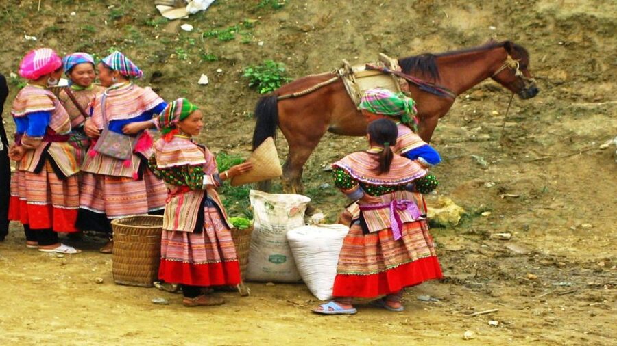From Hanoi: Sapa 3-Day Medium Trek and Limousine Trip - Price and value at about $165: what’s included, what you pay yourself