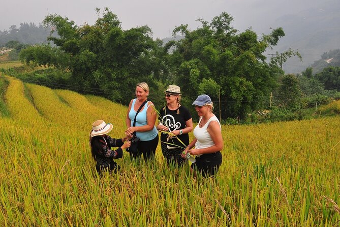 From Hanoi : Sapa Moutain Trek - Halong bay Heritage - Why this Sapa + Halong Bay combo feels worth your time