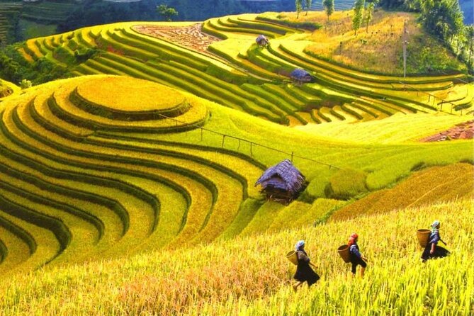 From Hanoi : Sapa Moutain Trek - Halong bay Heritage - Price and logistics: how $372.46 usually plays out in real life