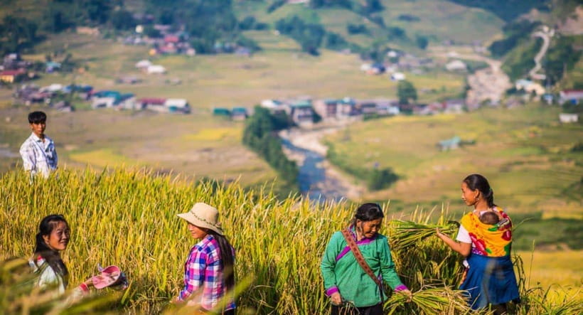 From Hanoi: Trek and Stay: 3-Day Sapa Highlands Adventure - Price and value: what $98 buys you in the mountains