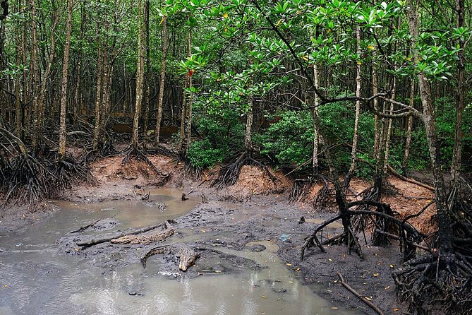 From Ho Chi Minh: Can Gio Trek – Monkey Island & Crocodile Farm - Crocodile stop at Hoa Ca: watch them, but plan for quick viewing