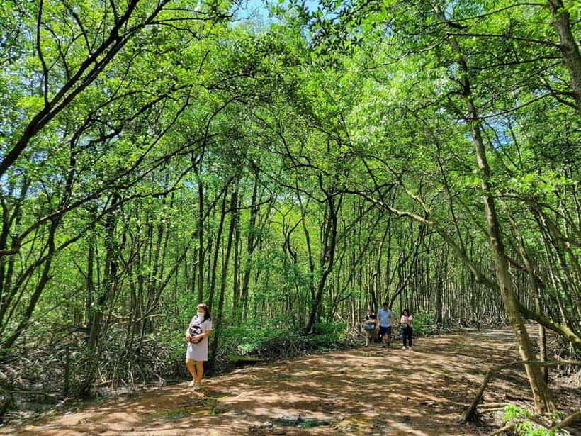 From Ho Chi Minh City: Can Gio Mangrove & Monkey Island Trek - Getting to Cần Giờ: the ferry ride that resets your day