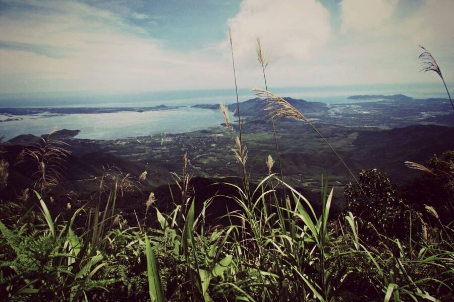 From Hue/Da Nang/Hoi An: Bach Ma National Park Trekking Tour - Key highlights you’ll care about