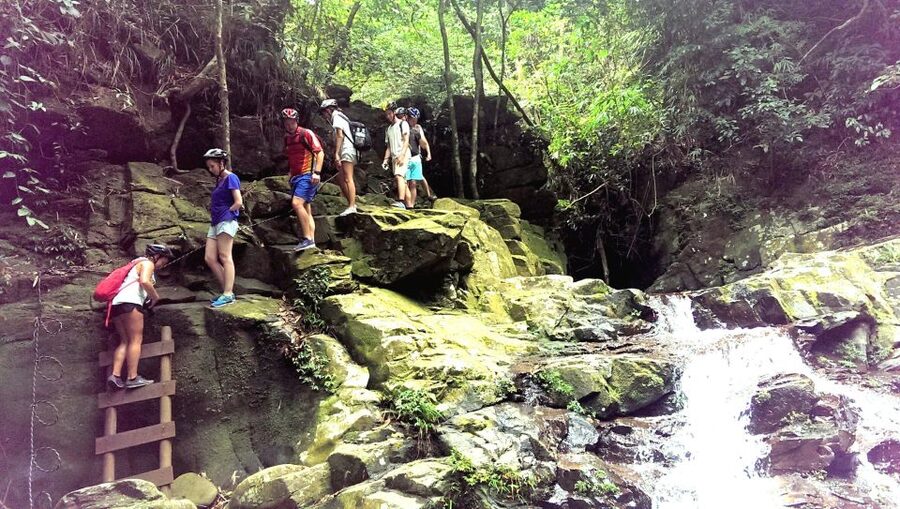 From Hue/Da Nang/Hoi An: Bach Ma National Park Trekking Tour - Bach Ma National Park: why the biodiversity part isn’t just marketing