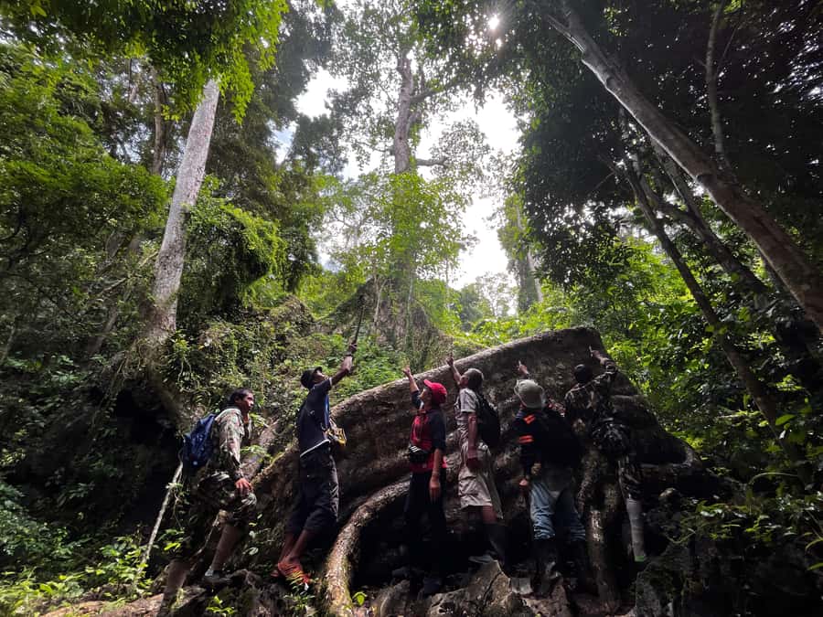 From Khao Sok: Half-Day Rainforest Trek with Local Guides - Getting Started at Halo Tor Tao and Tor Tao Excursion