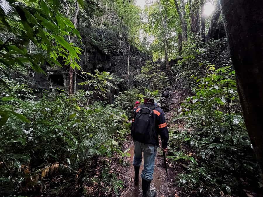 From Khao Sok: Half-Day Rainforest Trek with Local Guides - Village Life Stops: Coal-Making, Plantations, and Sustainable Learning
