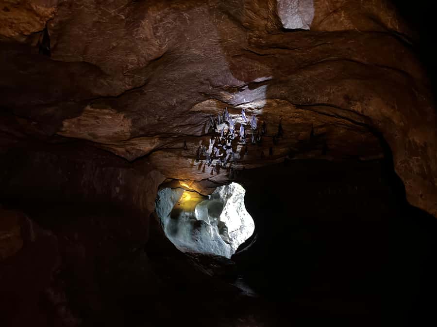 From Khao Sok: Half-Day Rainforest Trek with Local Guides - Price and Value: Is $70 a Good Deal for Khao Sok?
