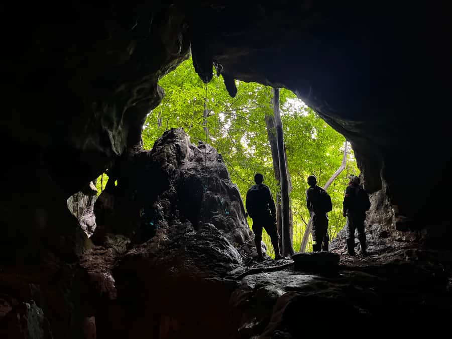 From Khao Sok: Half-Day Rainforest Trek with Local Guides - Rain, Bugs, and Footwear: Practical Packing for This Trek