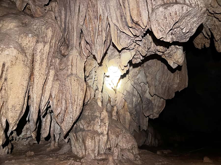 From Khao Sok: Half-Day Rainforest Trek with Local Guides - Who Should Book (and Who Should Pass)