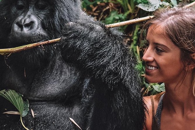 From Kigali: 10 Hour Day-trip Rwanda Gorilla Trekking with Lunch - The 4x4 Ride and What You Actually Get Included