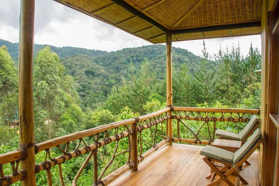 From Kigali: 2-Day Gorilla Trek: Bwindi Nat Park - Day 1: the lodge night that sets you up for gorillas