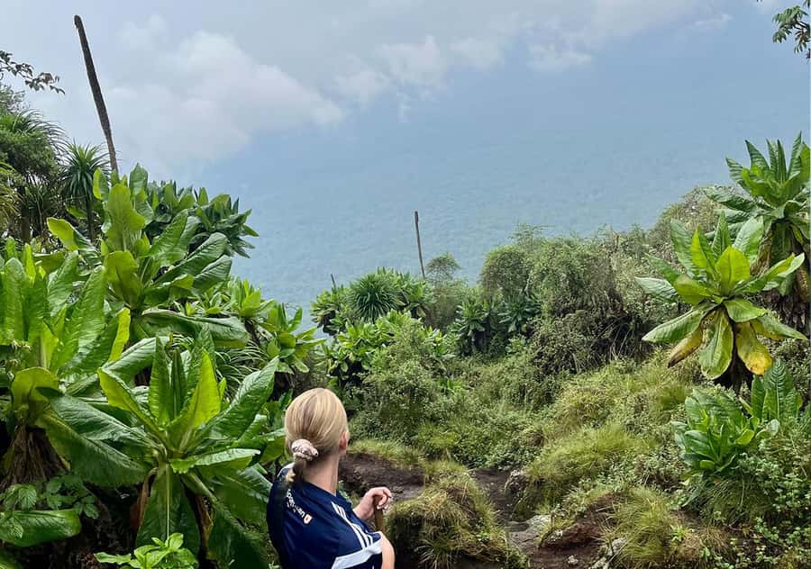 From Kigali: Bisoke Summit Trek, Crater Lake 1 Day Safari - The trek itself: villages, forest, and the volcanic climb to Bisoke