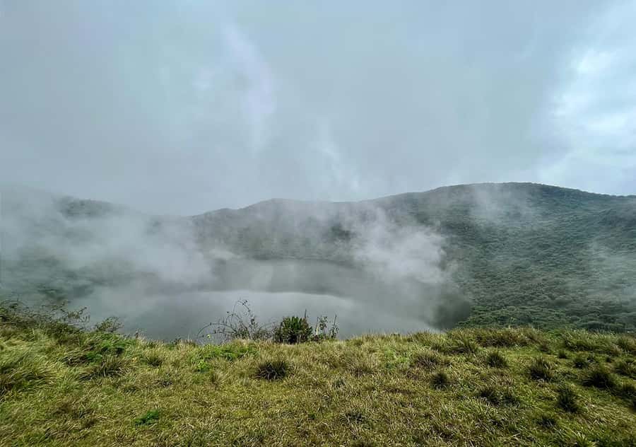 From Kigali: Bisoke Summit Trek, Crater Lake 1 Day Safari - Wildlife rules that matter: monkeys, gorillas, and your camera