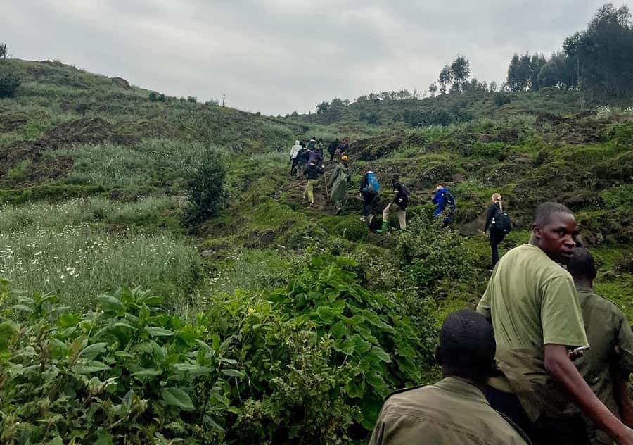 From Kigali: Bisoke Summit Trek, Crater Lake 1 Day Safari - Price and value: what you’re really paying for ($260 plus permits)