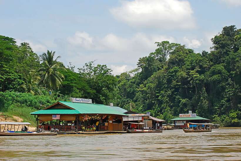 From Kuala Lumpur: Taman Negara National Park Trek Day Tour - Entering Taman Negara: Your First Real Sense of the Rainforest