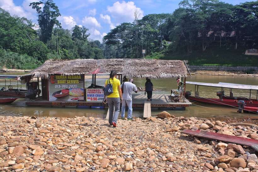 From Kuala Lumpur: Taman Negara National Park Trek Day Tour - Lunch at the Floating Restaurant: Fuel in the Middle of the Park
