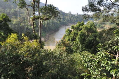 From Kuala Lumpur: Taman Negara National Park Trek Day Tour - Teresek Hill (or Indah Hill) Climb: Views, Steps, and the Humidity Tax