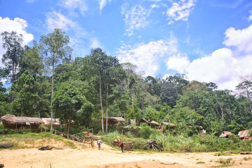 From Kuala Lumpur: Taman Negara National Park Trek Day Tour - Guide Quality and Group Pace: When the Day Feels Smooth