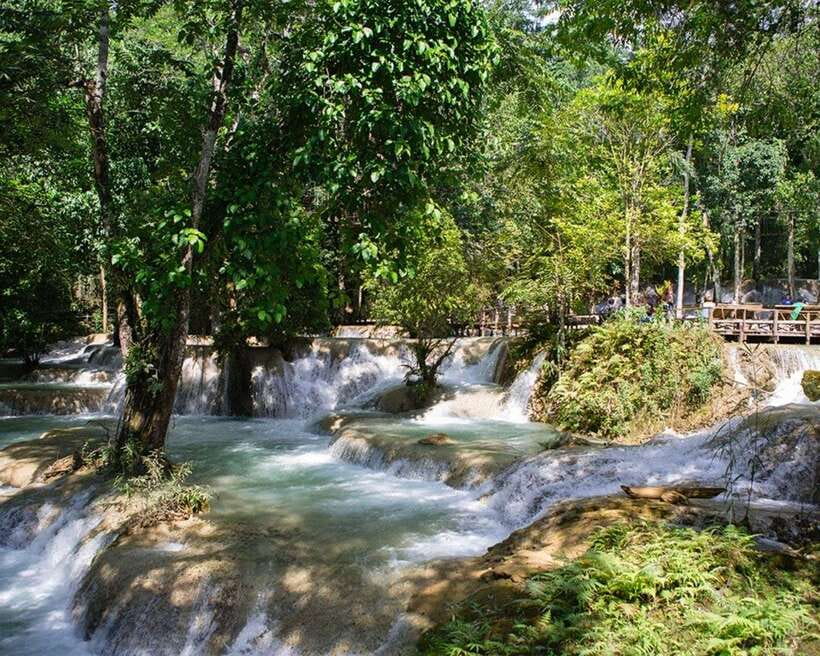 From Luang Prabang: Thin Pha Trail & Tad Sae Falls Trek - A Jungle Hike That Feels Like a Local Commute