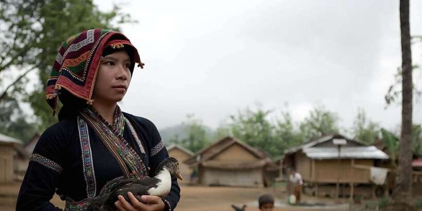 From Luang Prabang: Thin Pha Trail & Tad Sae Falls Trek - The Midday Stretch: Ask, Look, Listen