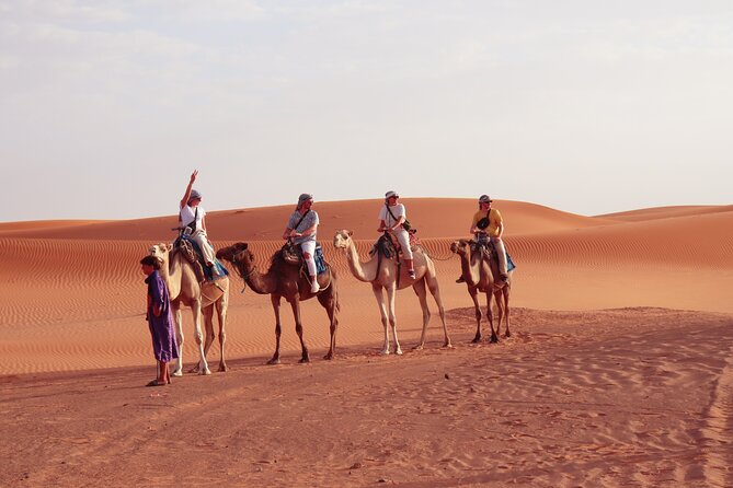 From Marrakech : 2 Day Stay in Merzouga with Food and Camel Trek - Marrakech pickup, A/C transport, and the reality of a long drive