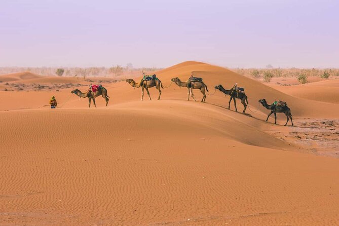 From Marrakech: 3 Days Desert Tour To Merzouga Camp & Camel Trek - Key highlights worth knowing before you go
