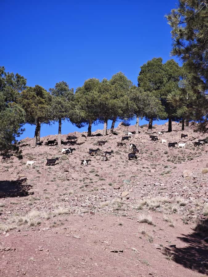 From Marrakech: Aourirt N’ouassif Summit Day Hike & Trek - Imlil (1,740m): where the hike starts and you sort your gear