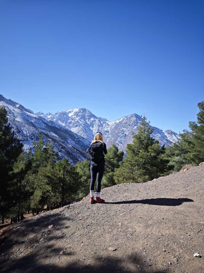 From Marrakech: Aourirt N’ouassif Summit Day Hike & Trek - Summit lunch at 2,726m: picnic food, mint tea, and time to breathe
