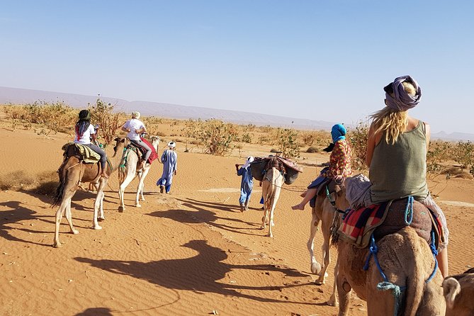 From Marrakech: Private Tour to Oasis and Trekking in the Desert of Erg Chigaga - Day 3: Erg Chigaga Sunrise, Camel Time, and Nomad Lunch Under Tamarind